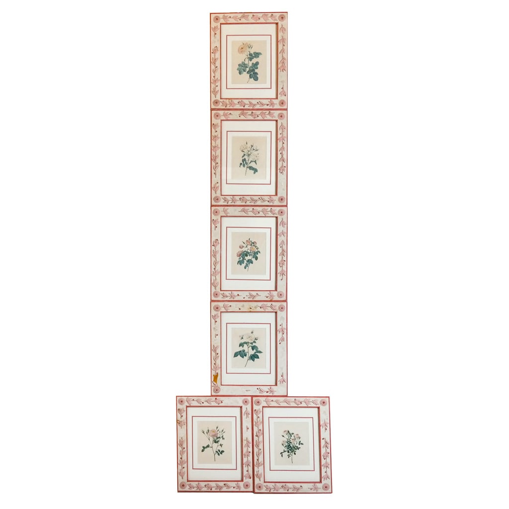 Six French Framed Botanical Plates (1 of 15)