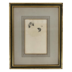 Attrib. to Archibald THORBURN: Birds - Sketch