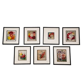 Set of 7 Vintage Botanical/Floral Prints