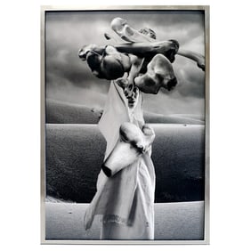 Alireza FANI: "Witness" - Archival Print