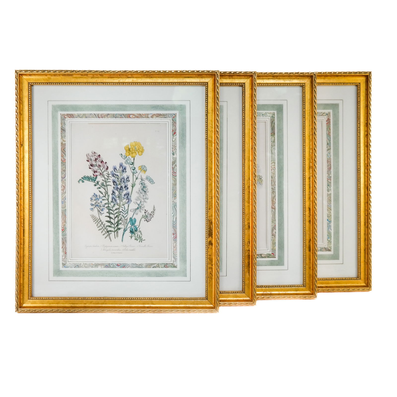 After Jane Wells LOUDON: Four Lithographs (1 of 11)