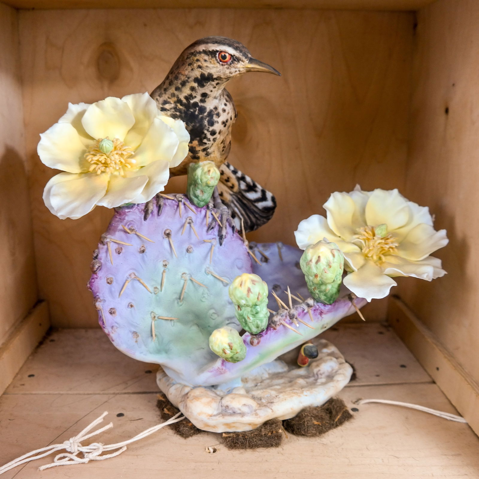 Royal Worcester Doughty Bird - Cactus Wren (1 of 8)