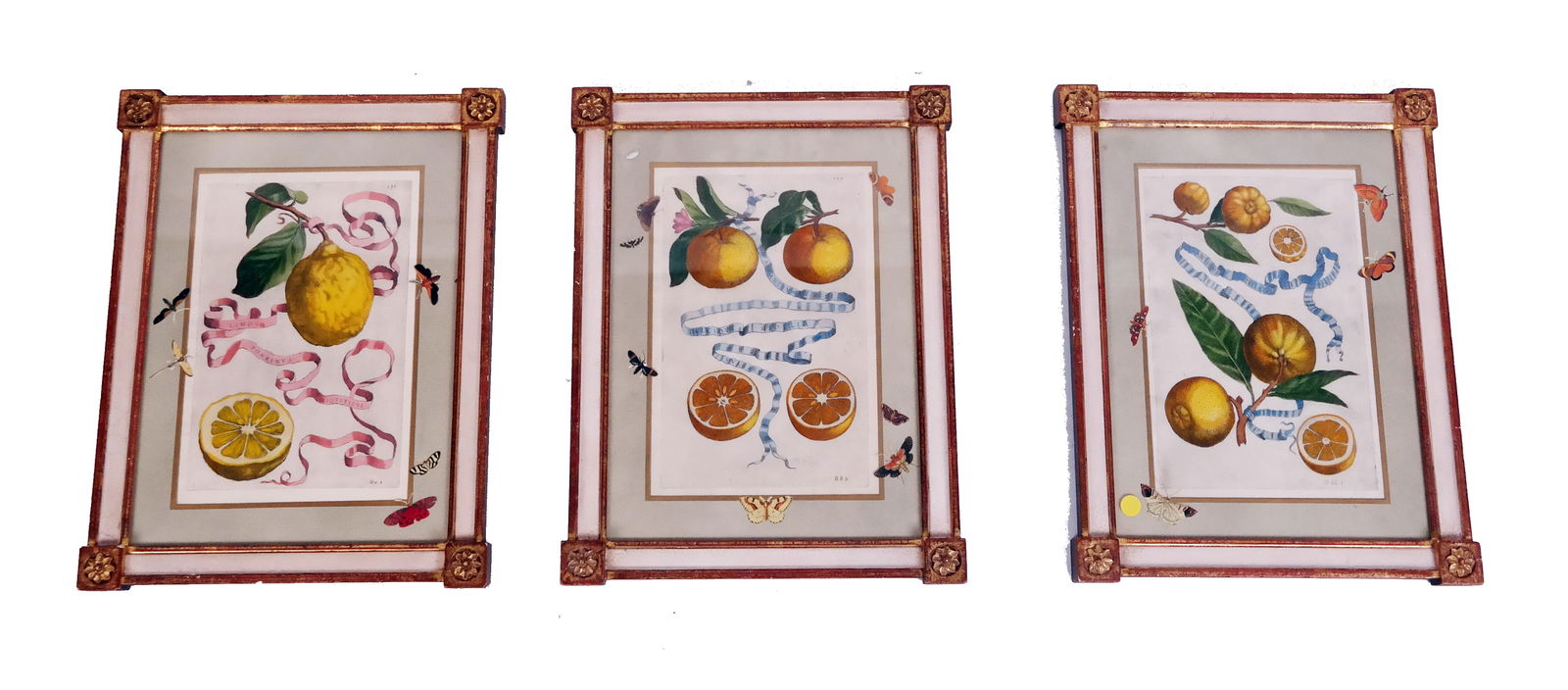 Three Citrus Botanical Color Prints (1 of 14)