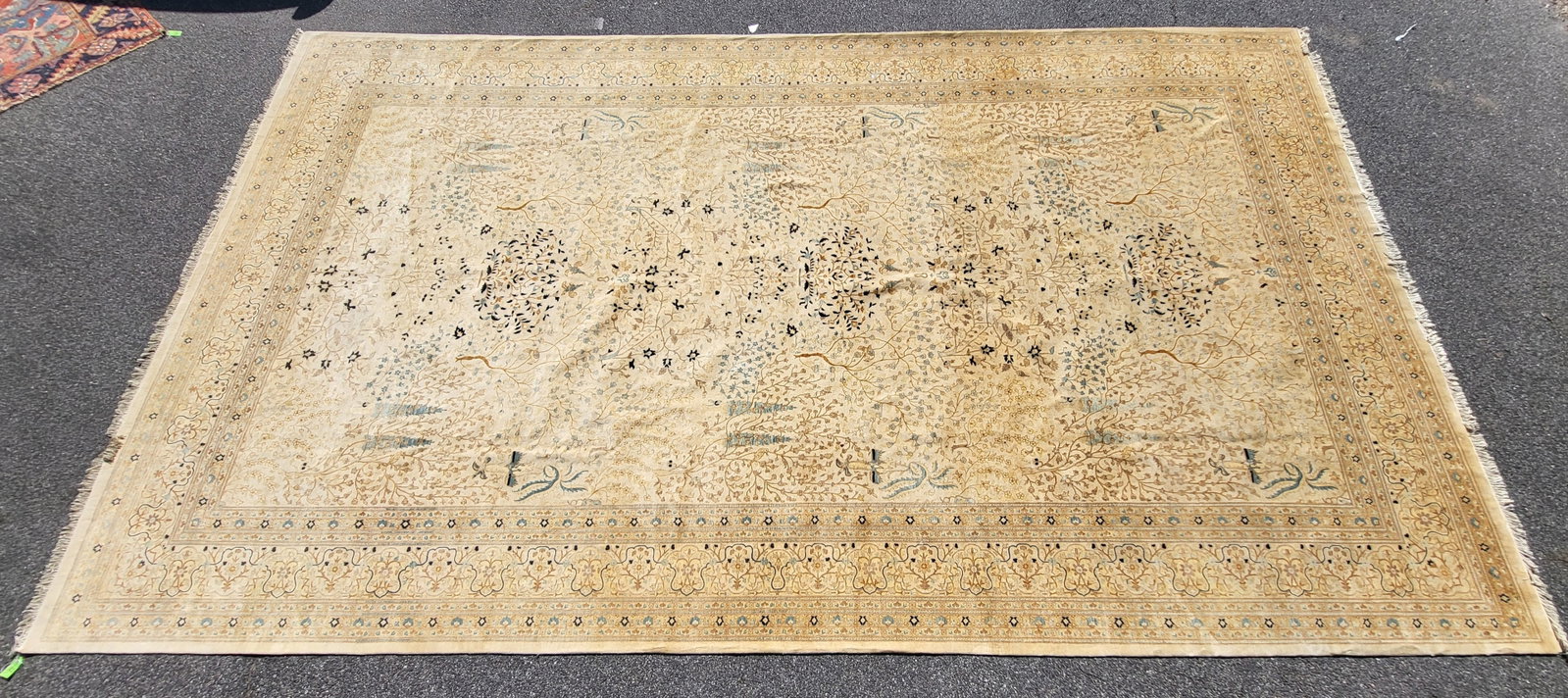 Oriental Carpet: Light color Kerman carpet in multiple tree of life designs of blue fir trees and brown flora trees with birds, with dark blue floral and dark blue lined borders with brown branches. [144" x 252"]. Ver