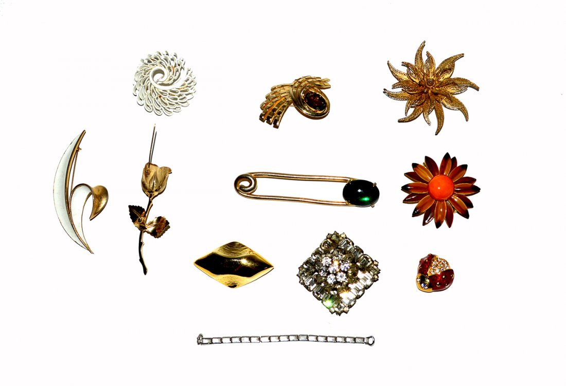 Designer Costume Pins: Includes designers: Jeanne, Robert, Trifari, and more. 10 total. Varying sizes and conditions. One missing stick. Some wear to metal finishes.
