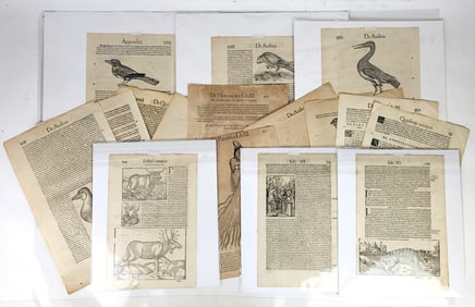 Conrad GESSNER: 16 Leaves from "Historia Animalium