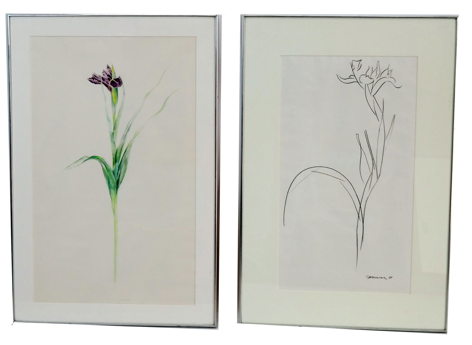 Two Modern Post-War Botanical Studies (1 of 11)