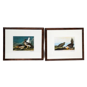 J.J. AUDUBON: Pair of Reproduction Prints