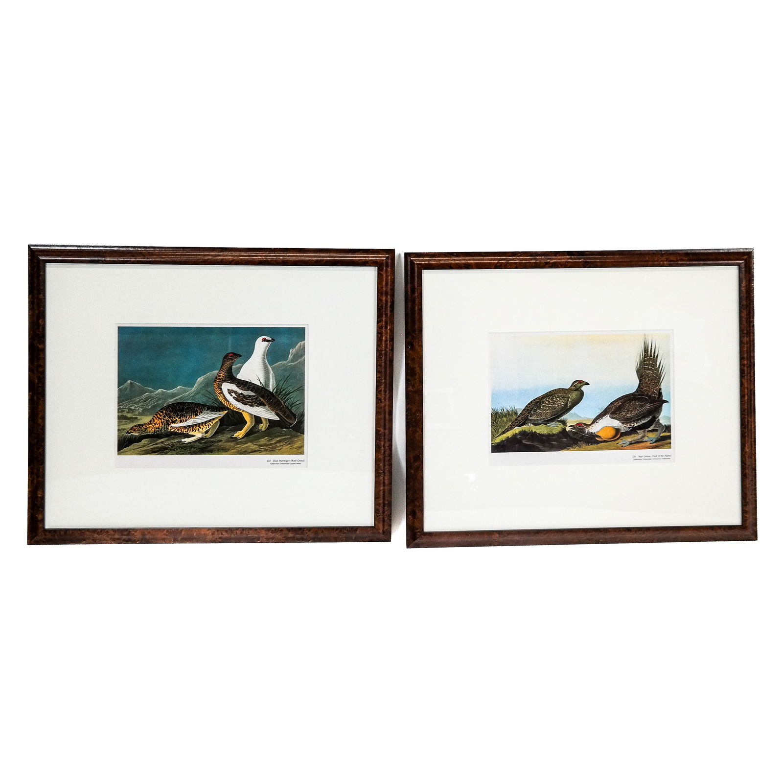 J.J. AUDUBON: Pair of Reproduction Prints (1 of 10)