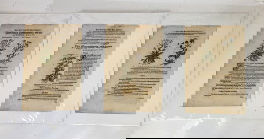 Pietro A. MATTIOLI: 3 Leaves from "Kreutter..."