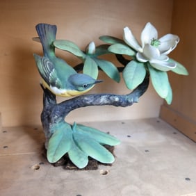 Royal Worcester Doughty Bird - Parula Warbler