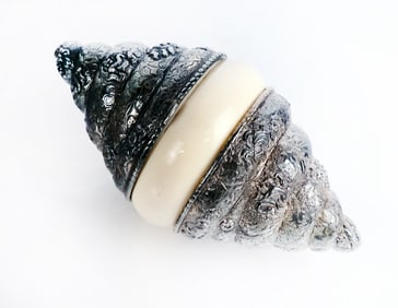 Silver-Mounted Embossed Box