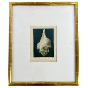 G.H. ROTHE: "Left Winding Shell", Mezzotint, 1975