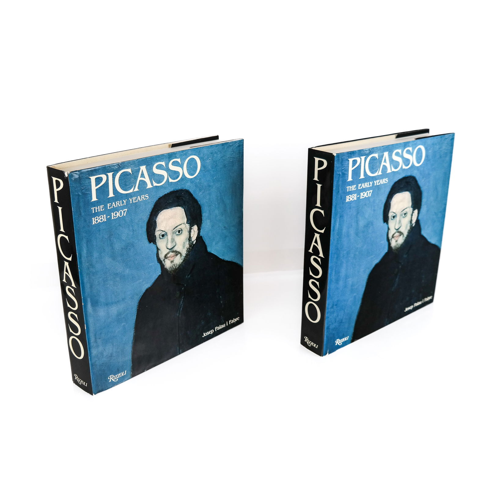 Picasso The Early Years, Josep Palau i. Fabre (2) (1 of 11)