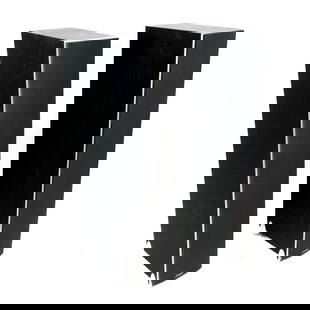 A Pair of Polk Audio Stereo Towers