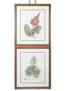 Seven Framed Botanical Prints