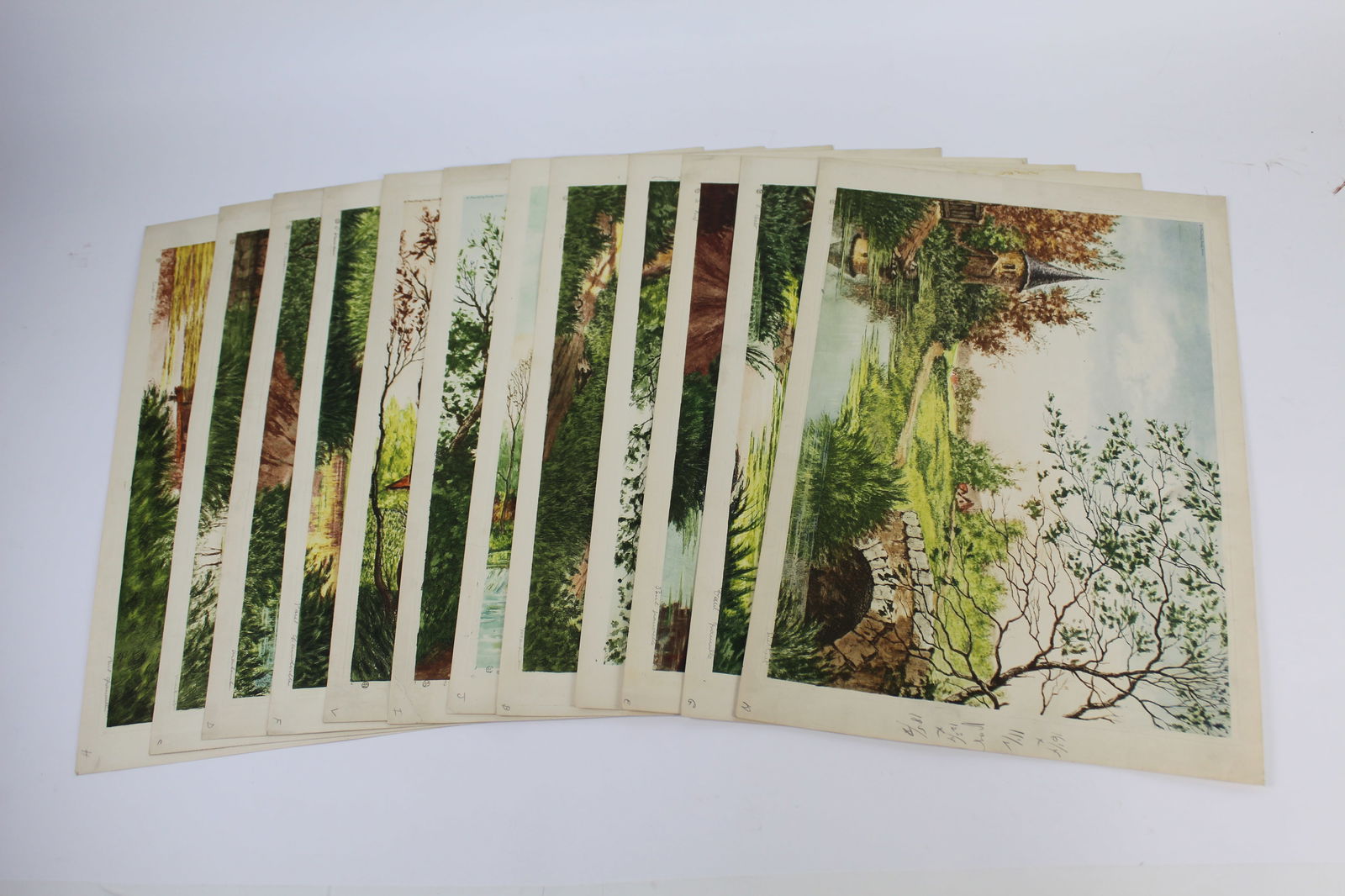 Grp of Original 19th/20th C. Hand Colored Etchings (1 of 15)