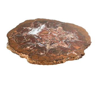 Slice of Petrified Wood Ornament