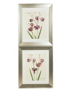 Two Botanical Prints