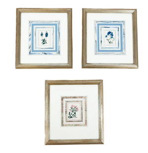 Three Botanical Prints, 3