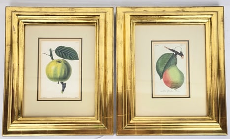 Pair of Fruit Prints