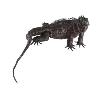 William ALLEN Galvanized Steel Iguana Sculpture
