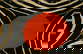 item-206219970=15