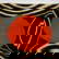item-206219970=4