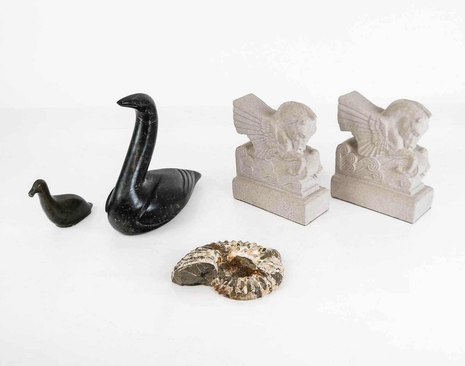 Zoological Decor, 5 (1 of 9)