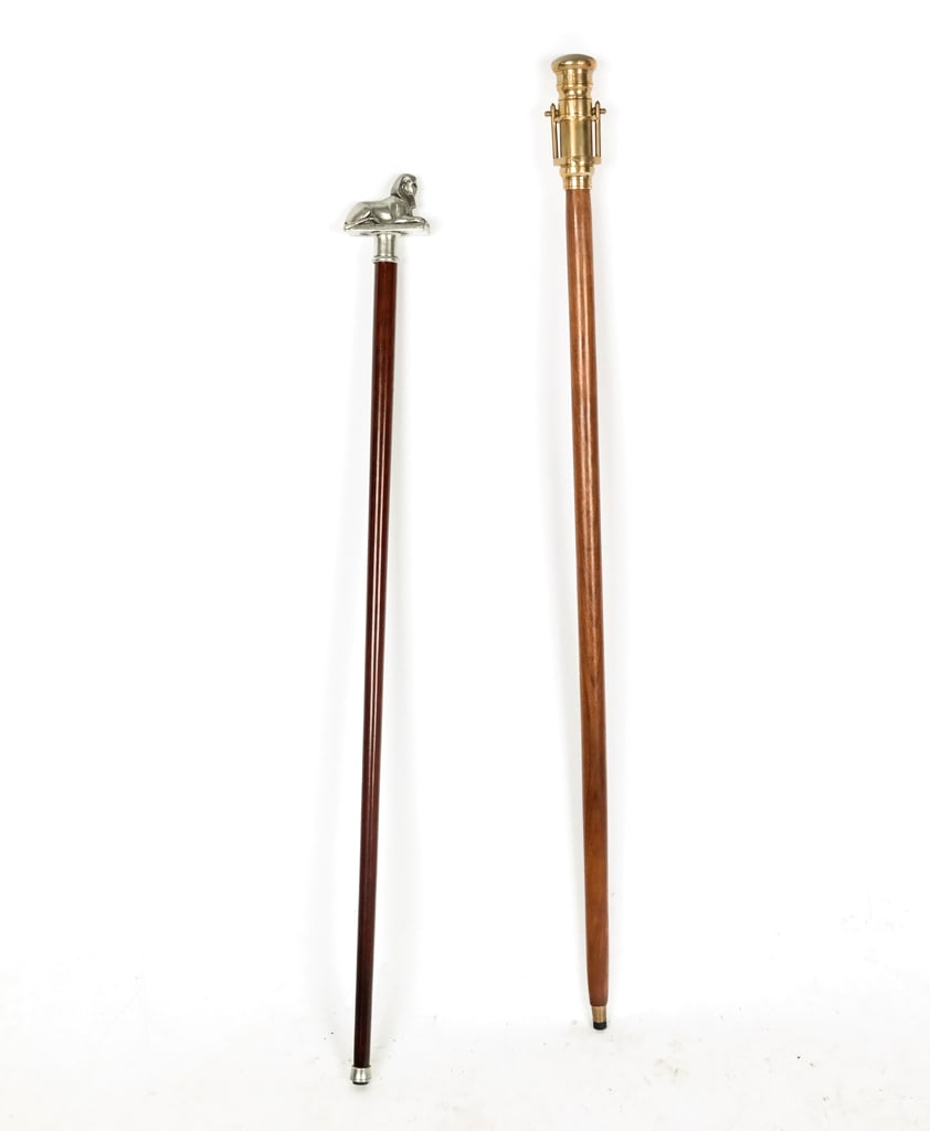 Two Canes (1 of 15)