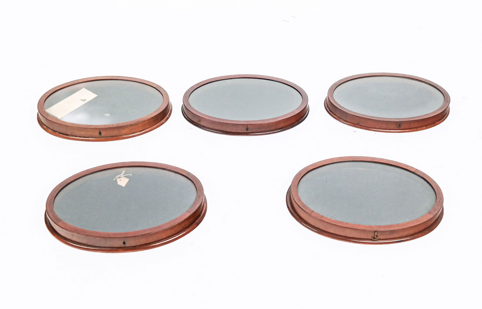 Five Federal Oval Table Vitrines (1 of 9)