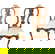 item-209047097=15