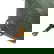 item-209047123=15