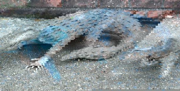 Bronze Alligator Garden Sculpture: Bronze garden sculpture of an alligator. [Approximately: 9" H x 30.5" W]. Overall good condition, some patination and wear. From the Estate of Ronald Blatt, owner of Blatt Billiards New York City.