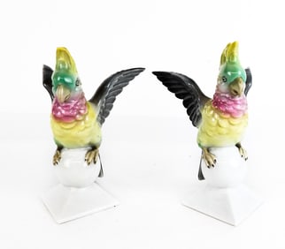 Pr Gerald & Co Tettau Bavarian Porcelain Cockatoos