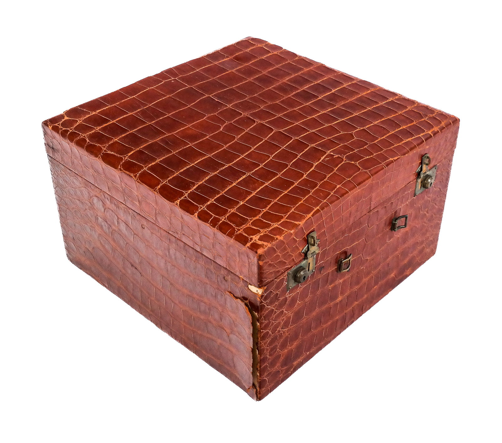 Alligator Storage Box: Brown alligator storage box. [12.5" H x 20" W x 20" D]. In "as-is" condition: hinge off; scattered losses; no key.