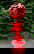 item-210722516=10