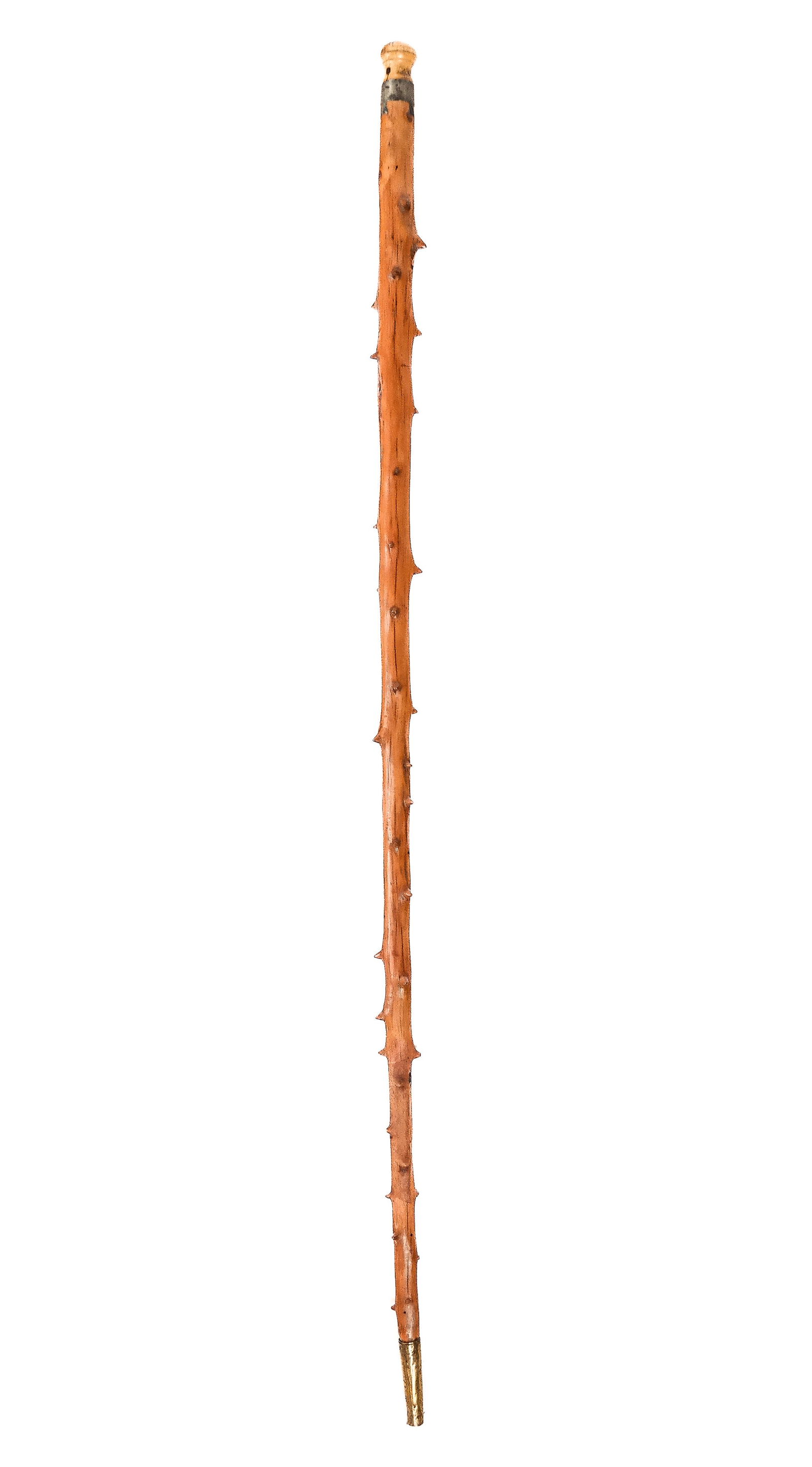 Folk Art Signed Carved Wood Cane: Folk Art walking stick, the shaft having stem points throughout, a metal mounted tip with dovetailing and a bone mounted top, with brass end, signed "AB". [37.5" H]. From the Collection of Susan and C