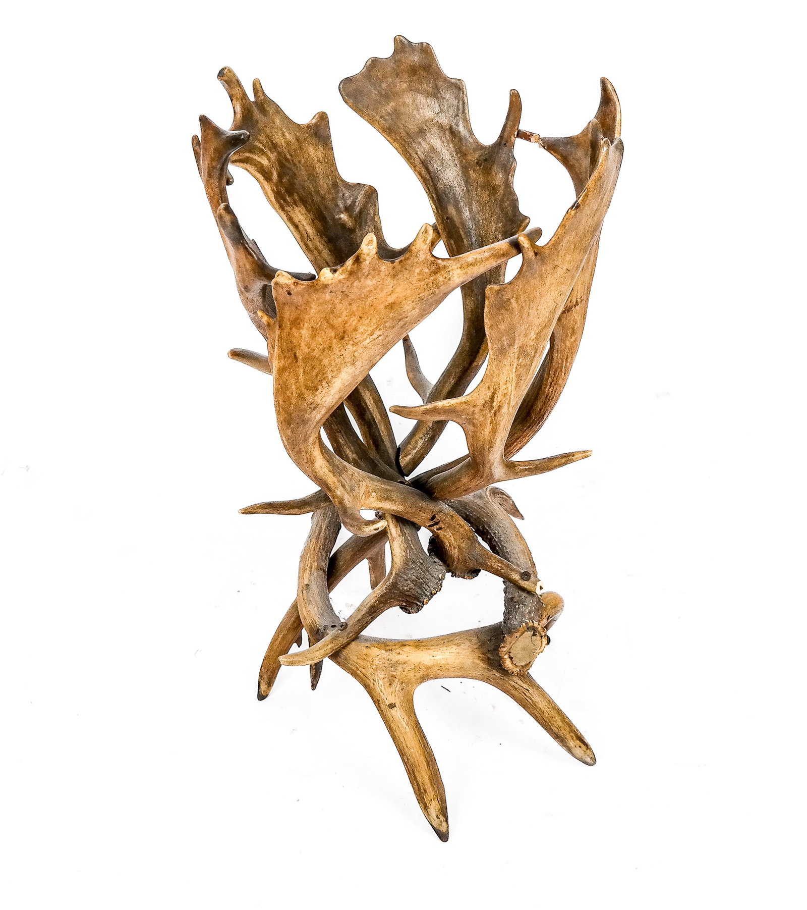 Antler-Form Stand: Antler-form stand. [24" H x 15" Diameter]. From a New York City collection. In good condition.