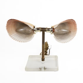 Two Light Desk Lamp with Shell Shades