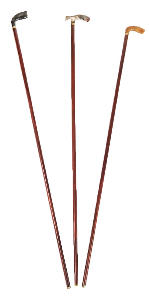 Three Horn-Handled Canes (1 of 8)