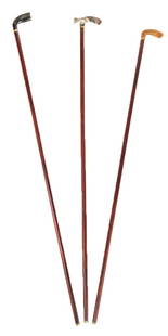 Three Horn-Handled Canes: Three canes with carved horn handles and brass collar and cap to lower. [Tallest: 37.25" H x 3" W x 0.5" D]. Condition to each is good.