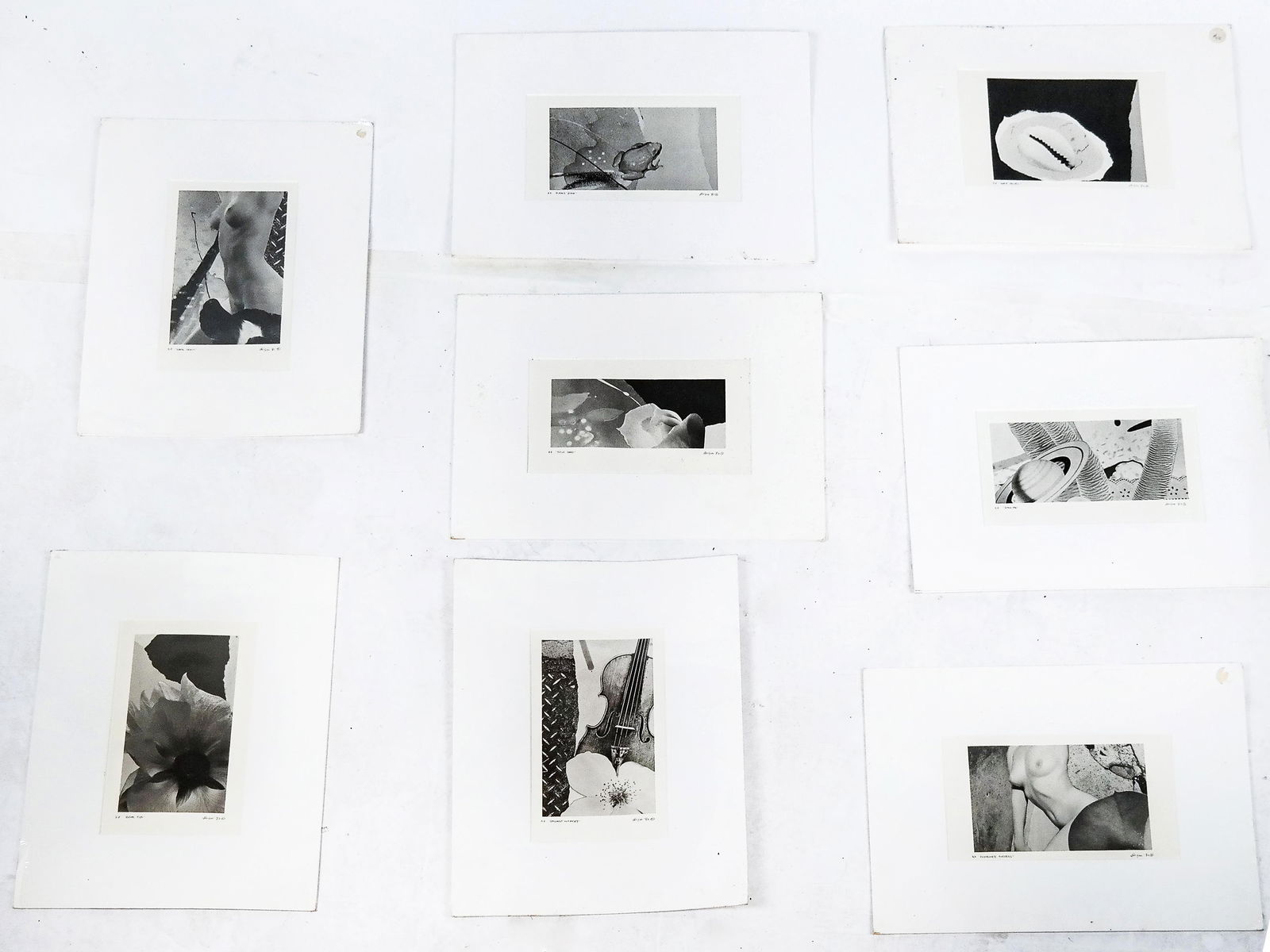 Michael KNIGIN Collection of Colorless Prints, 8: Michael Knigin (American, 1942-2011) Collection of unframed monochromatic screen prints: "Combined Success", "Game Spirit", "Gallant Whimsey", "Regal Ties", "Flashy King", "Transtar", "Noble Jewel", a