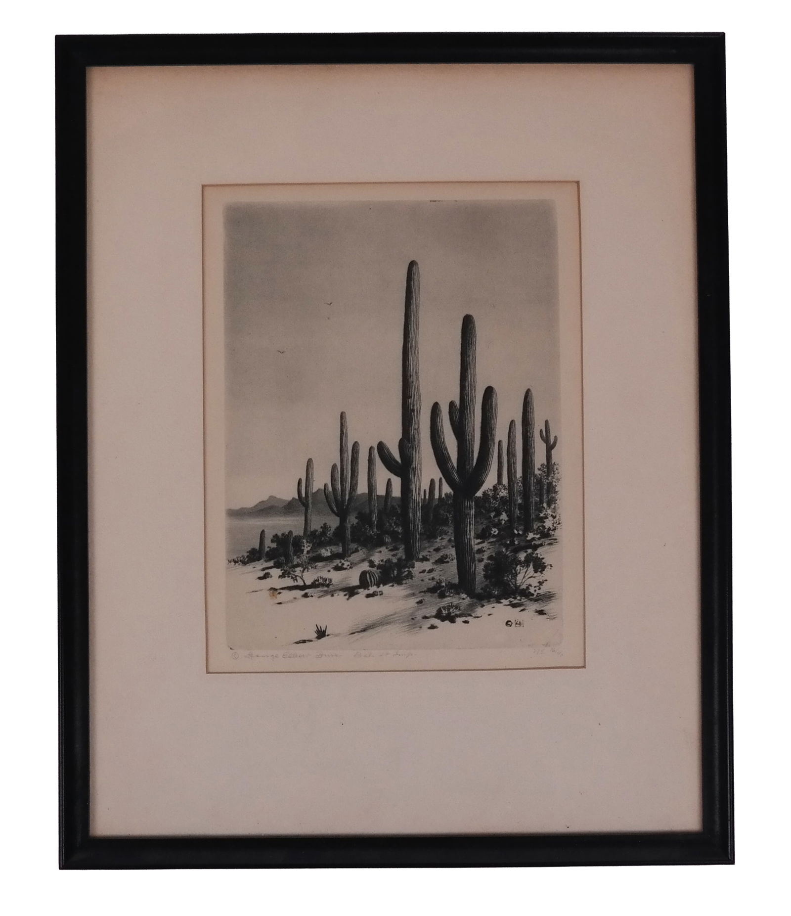 Rare Eugene Andreyev Framed Le Marble Etching X9