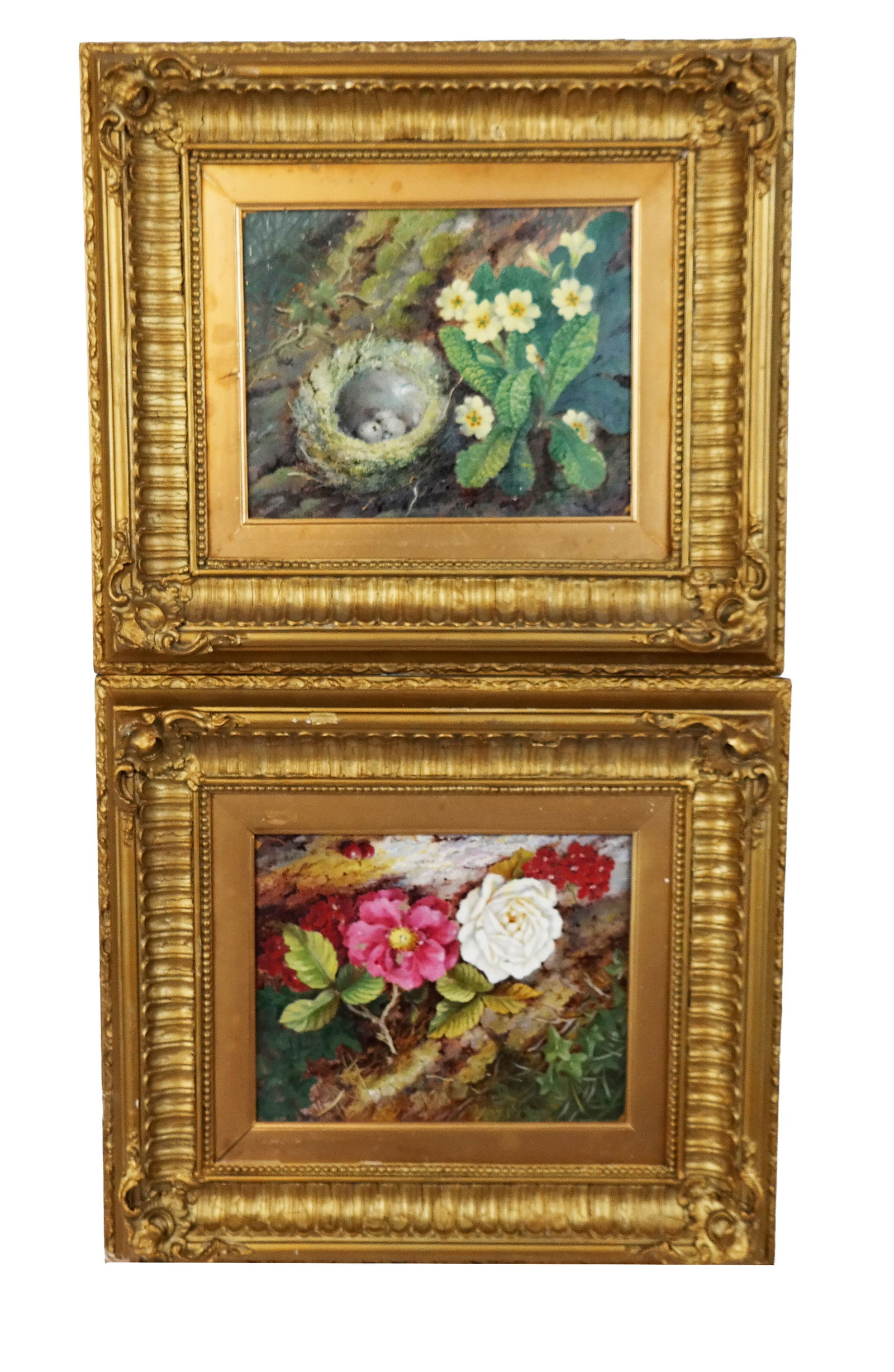 After Oliver CLARE: Pr of Still Life Oil Paintings (1 of 13)