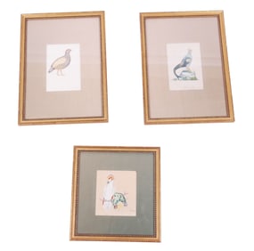 Krishna signed Gouache on Paper of Exotic Birds, 3
