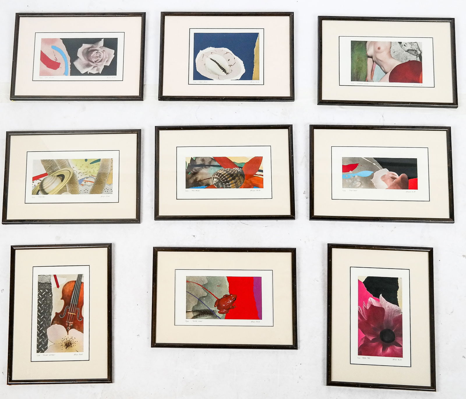 Michael KNIGIN Collection of 9 Framed Screen Prints (1 of 12)