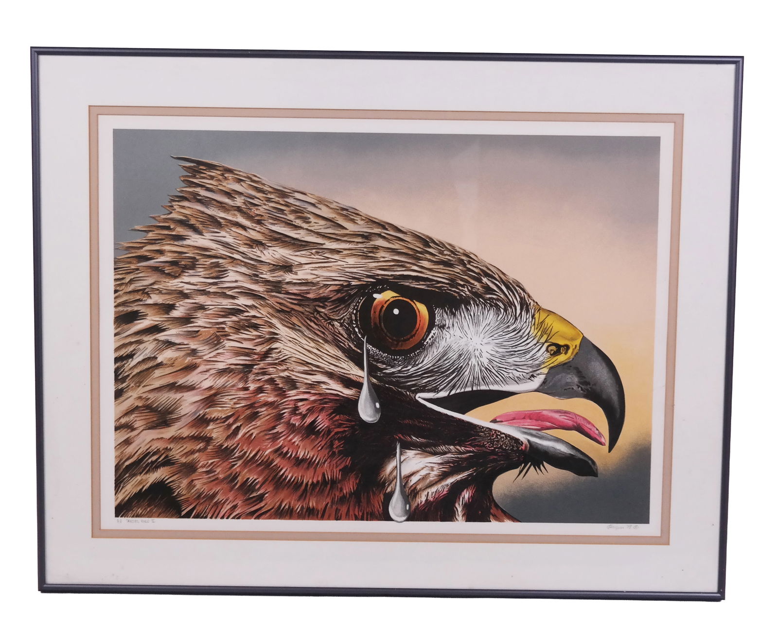 Michael KNIGIN "Special Bird II", Screen Print: Michael Knigin (American, 1942-2011) "Special Bird II", screen print, signed, titled, artist proof, and dated lower margin with title and Knigin 78 c[copyright]. [Frame:25"H x 32.25" W]. Overall condi