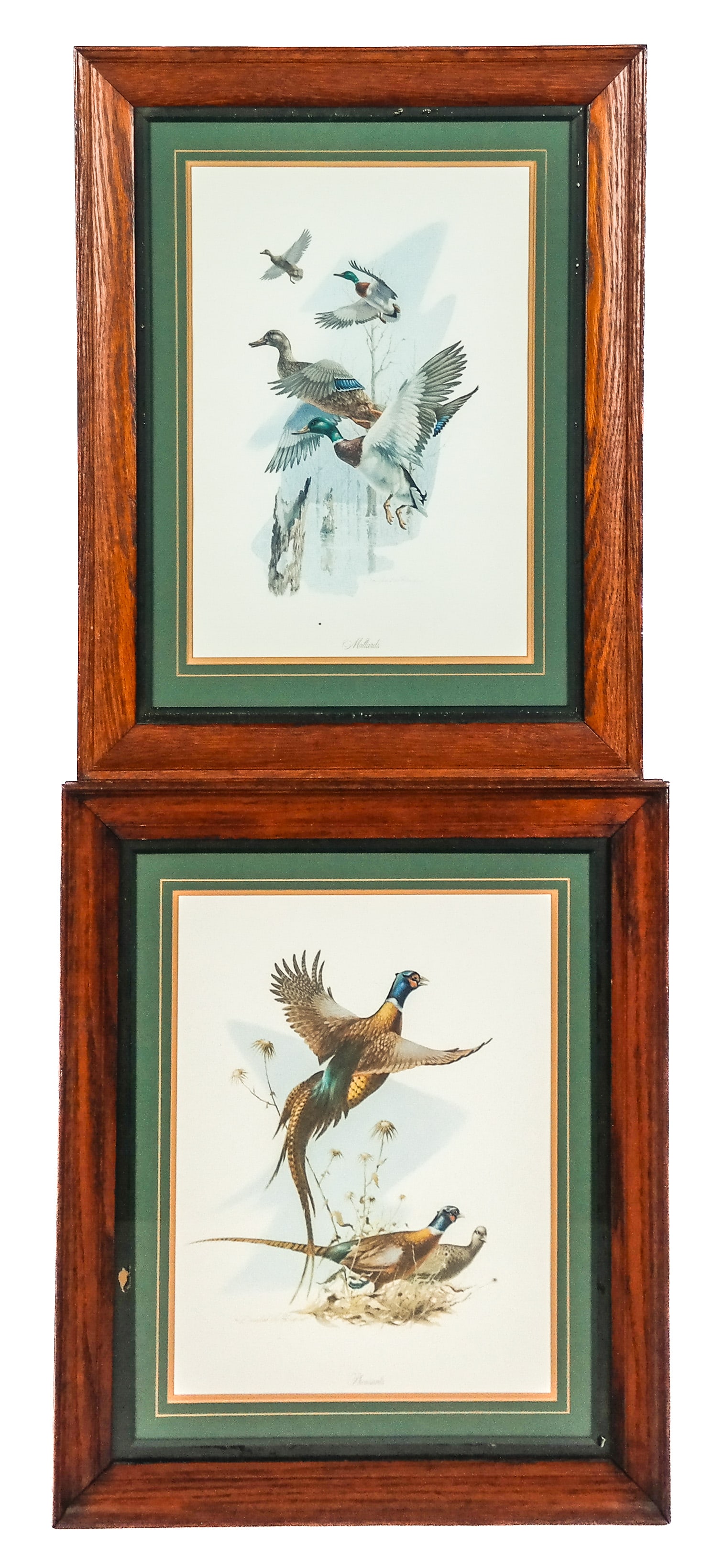 Douglas VAN HOWD Pair of Wildlife Prints (1 of 11)
