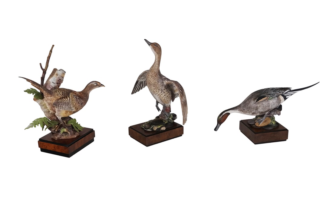 Royal Worcester Bone China Figures of Ducks, 3: Royal Worcester bone china figures of ducks by naturalistally modeled by Ronald van Ruyckevelt, comprising 2 "American Pintail" figures - one about to fly with open wings, and one about to eat, togeth
